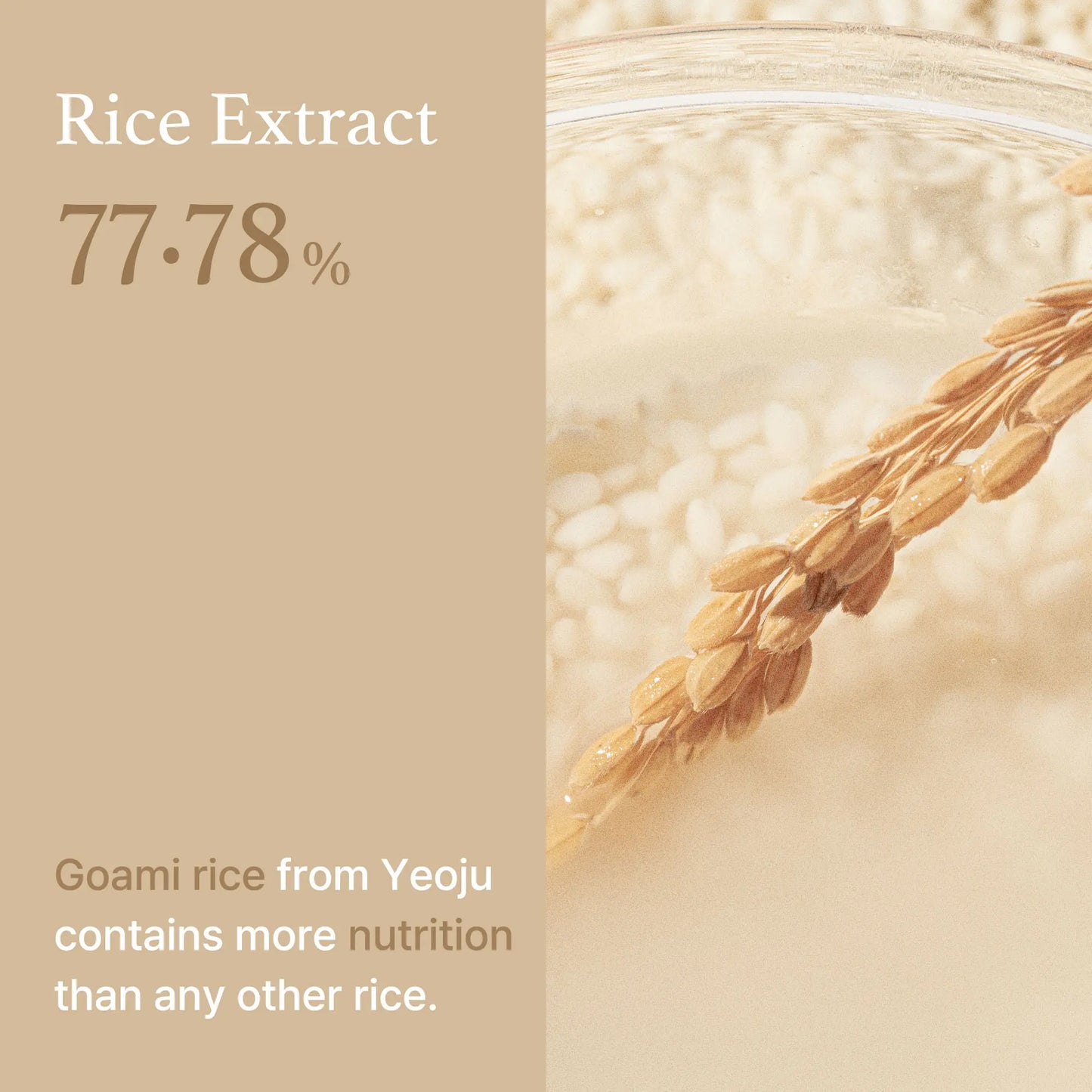 [I'M from Official Shop] Rice Toner, 77.78% Rice Extract from Korea, Glow Essence with Niacinamide, Hydrating for Dry Skin, Vegan, Alcohol Free, Fragrance Free, Peta Approved, K Beauty Moisture Skincare Skin Repair Comfort Hydrate Moisturizer Moisturizing