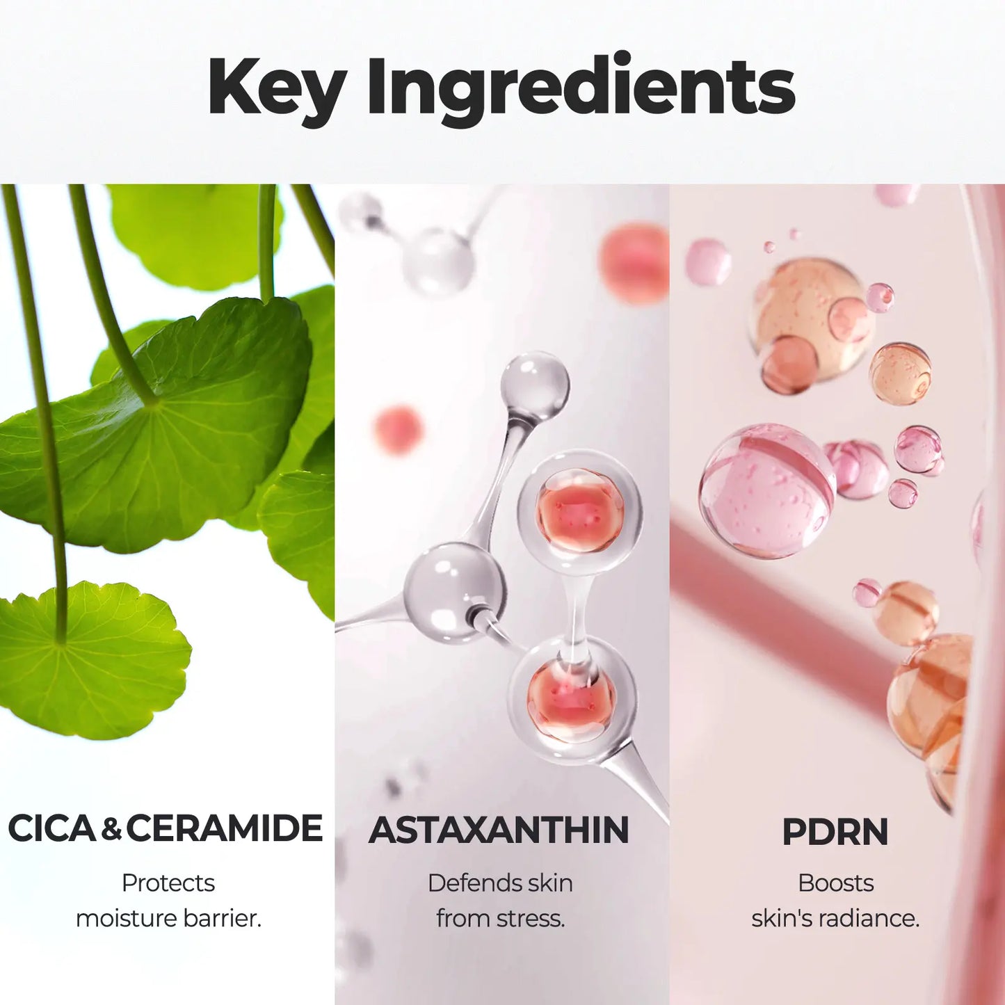 [LAKA SKIN] Wrapping CreamㅣMakeup-Prepping CreamㅣMaintains Applied Skincare Benefits, Boosts HydrationㅣCeramide, Dual PdrnㅣK-Beauty, Korean Skincare