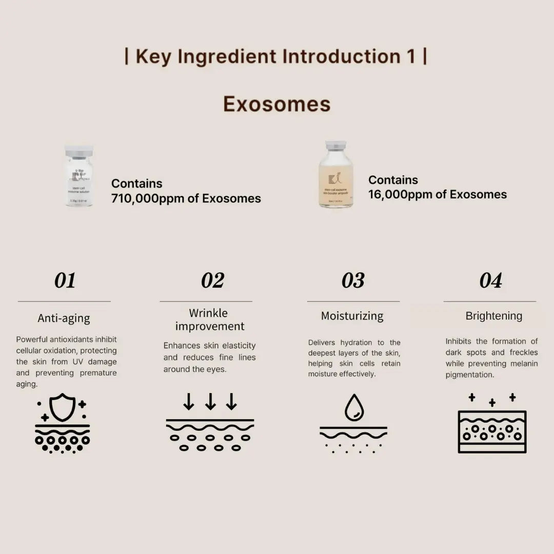 KI Exosome Booster Ampoule Kit – Advanced Skin Care for Hydration & Glow | Made in Korea