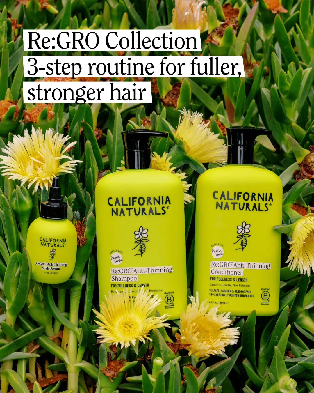 California Naturals Re:Gro Anti-Thinning Scalp Serum